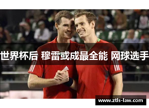 世界杯后 穆雷或成最全能 网球选手